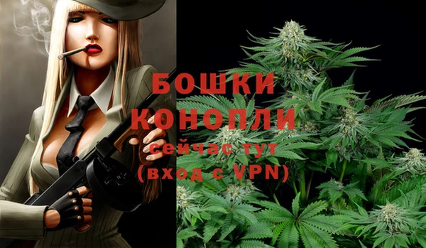 прущие крисы Белоозёрский