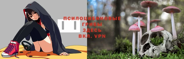 прущие крисы Белоозёрский