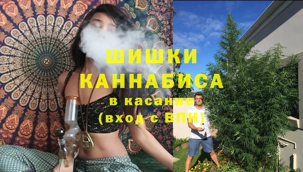 кокс Тайга