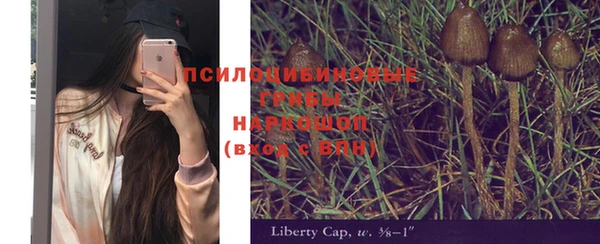 прущие крисы Белоозёрский