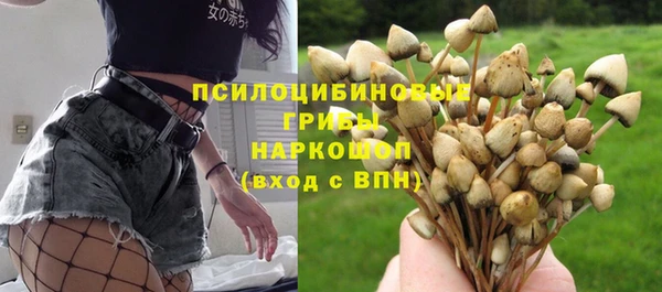 Альфа ПВП Баксан