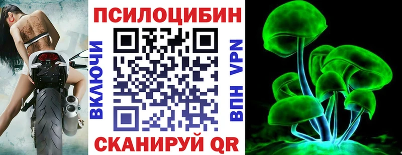 наркота  Бобров  Псилоцибиновые грибы прущие грибы 