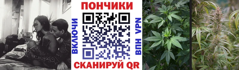 hydra ссылки  Бобров  Марихуана индика 
